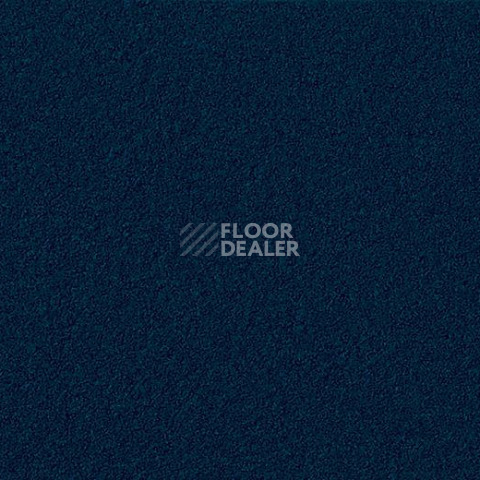 Линолеум Forbo Marmoleum Bulletin Board 2214 blue berry фото 1 | FLOORDEALER