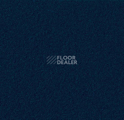 Линолеум Forbo Marmoleum Bulletin Board 2214 blue berry фото 1 | FLOORDEALER