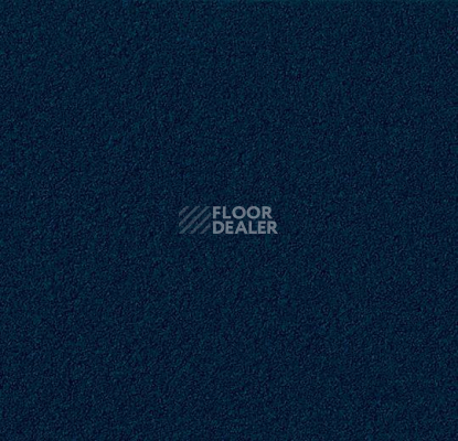 Линолеум Forbo Marmoleum Bulletin Board 2214 blue berry фото 1 | FLOORDEALER