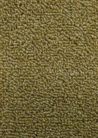 Ковролин Нева Тафт Астра 17 фото 1 | FLOORDEALER