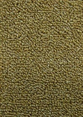 Ковролин Нева Тафт Астра 17 фото 1 | FLOORDEALER