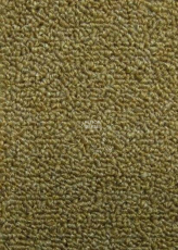 Нева Тафт Астра 17 фото 1 | FLOORDEALER