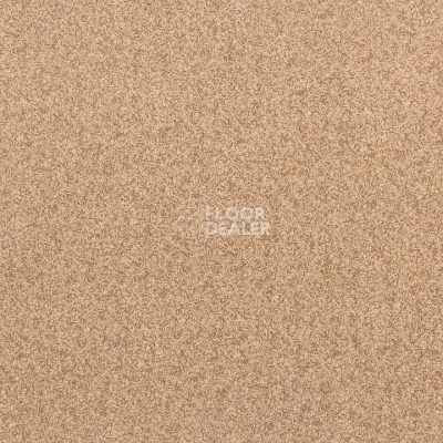 Линолеум Tarkett Activa Lava 1 фото 1 | FLOORDEALER