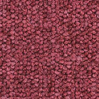 Ковролин Balsan Santa Fe DD Santa Fe dd 580 фото 1 | FLOORDEALER