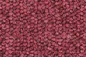 Ковролин Balsan Santa Fe DD Santa Fe dd 580 фото  | FLOORDEALER