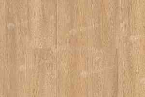 Кварцвиниловые полы Alpine Floor Intense Бурый лес ECO 9-3 фото  | FLOORDEALER