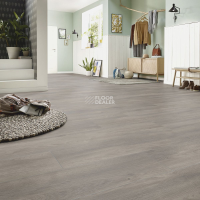 Ламинат Kronotex Exquisit Plus d6013 Дуб Эльба Серебряный фото 2 | FLOORDEALER