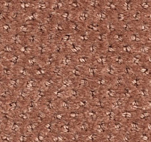 Ковролин Balsan Aquarelle Touch 460 фото 1 | FLOORDEALER