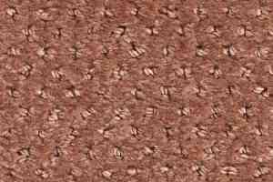 Ковролин Balsan Aquarelle Touch 460 фото  | FLOORDEALER