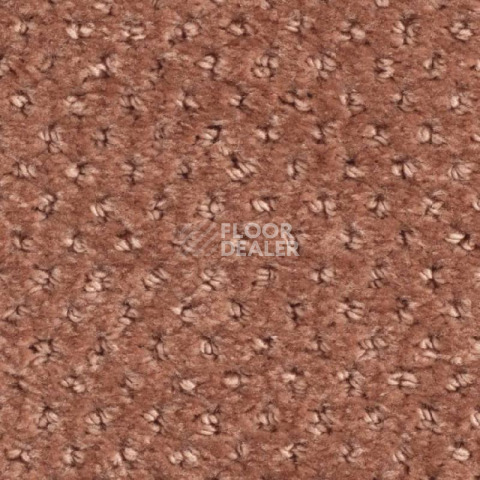 Ковролин Balsan Aquarelle Touch 460 фото 1 | FLOORDEALER