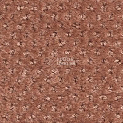 Ковролин Balsan Aquarelle Touch 460 фото 1 | FLOORDEALER