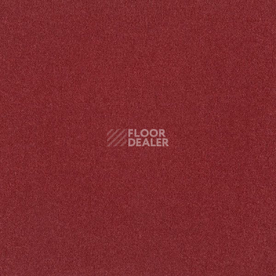 Ковровая плитка Interface Palette 2000 Cranberry фото 1 | FLOORDEALER