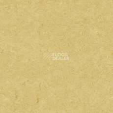 Линолеум Marmorette DLW  2mm 0076 Pale Yellow фото 1 | FLOORDEALER