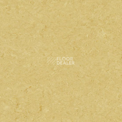 Линолеум Marmorette DLW  2mm 0076 Pale Yellow фото 1 | FLOORDEALER