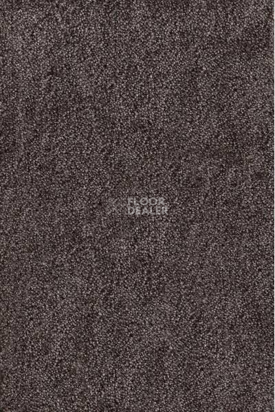 Ковролин AW Lima 44 фото 1 | FLOORDEALER