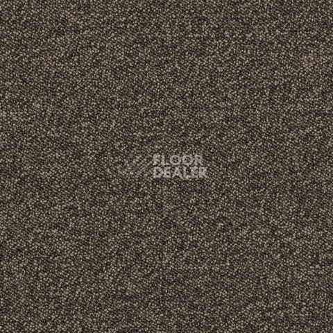 Ковролин Associated Weavers Maxima 45 фото 1 | FLOORDEALER