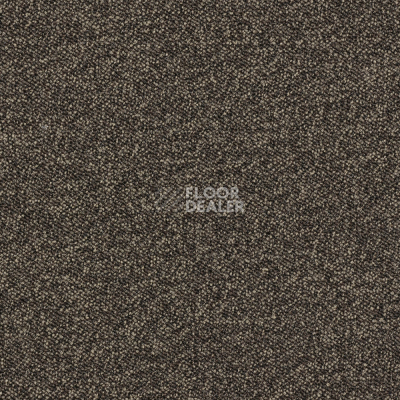 Ковролин Associated Weavers Maxima 45 фото 1 | FLOORDEALER