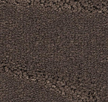 Ковролин Balsan Prado 760 фото 1 | FLOORDEALER