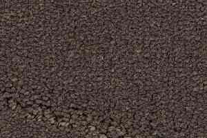 Ковролин Balsan Prado 760 фото  | FLOORDEALER