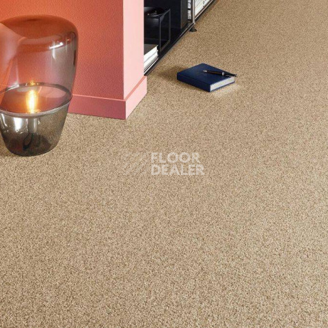 Vorwerk Essential 1074/Parma Vorwerk 8f21 фото 2 | FLOORDEALER