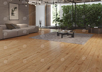 Classen Arteo 8 M 62754 Дуб Катам фото 2 | FLOORDEALER