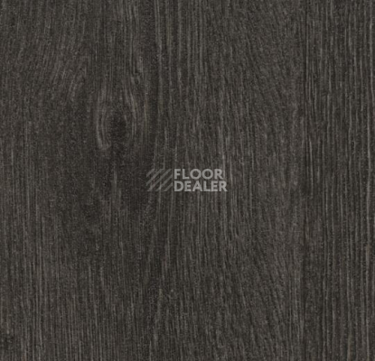 Кварцвиниловые полы Forbo Allura Click Decibel 60074 фото 1 | FLOORDEALER