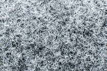 Ковровая плитка Forte в плитке 96000 t Smoke фото 1 | FLOORDEALER