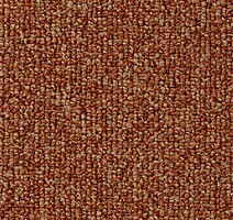 Ковролин Vorwerk Passion 1046 Vorwerk 1n10 фото 1 | FLOORDEALER