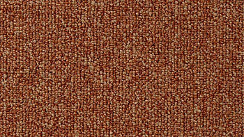 Ковролин Vorwerk Passion 1046 Vorwerk 1n10 фото 1 | FLOORDEALER