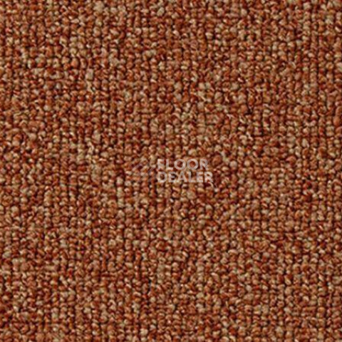 Ковролин Vorwerk Passion 1046 Vorwerk 1n10 фото 1 | FLOORDEALER