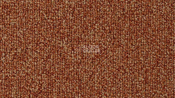 Ковролин Vorwerk Passion 1046 Vorwerk 1n10 фото 1 | FLOORDEALER