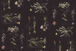 Ковролин Ege Highline Nature rf 52755416 фото  | FLOORDEALER