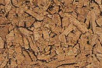 Natural Cork замковое Fiamma фото 1 | FLOORDEALER