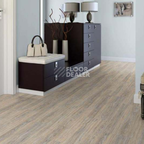 Wood CORK OAK LEACHED фото 3 | FLOORDEALER