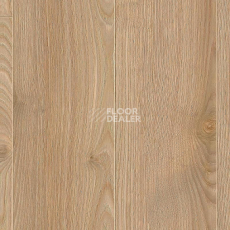 Ламинат Kronotex Robusto 12мм d80892 Каштан Солсбери темный фото 1 | FLOORDEALER