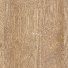 Kronotex Robusto 12мм d80892 Каштан Солсбери темный фото 1 | FLOORDEALER