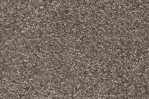 Ковролин AW Invictus Romelus 40 фото  | FLOORDEALER