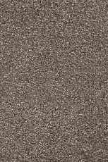 Ковролин AW Invictus Romelus 40 фото 1 | FLOORDEALER