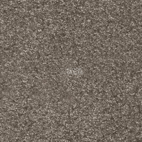 Ковролин AW Invictus Romelus 40 фото 1 | FLOORDEALER