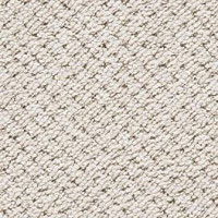 Ковролин Big Rocca 303 фото 1 | FLOORDEALER