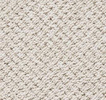 Ковролин Big Rocca 303 фото 1 | FLOORDEALER