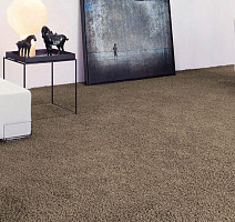 Vorwerk Superior 1041 Vorwerk 8j87 фото 2 | FLOORDEALER