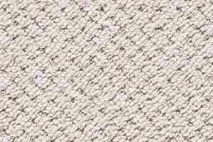 Ковролин Big Rocca 303 фото  | FLOORDEALER