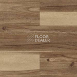 Линолеум Polyflor Expona Wood 6186 фото 1 | FLOORDEALER