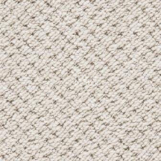 Ковролин Big Rocca 303 фото 1 | FLOORDEALER