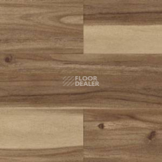 Линолеум Polyflor Expona Wood 6186 фото 1 | FLOORDEALER
