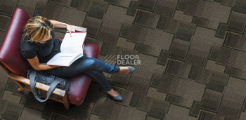 Cinema Cinema 749 фото 2 | FLOORDEALER