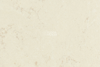 Линолеум Forbo Marmoleum Solid Concrete 3711-371135 cloudy sand фото 1 | FLOORDEALER