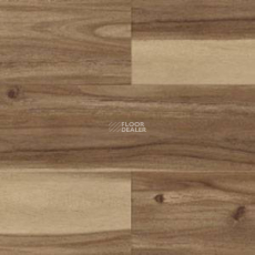 Polyflor Expona Wood 6186 фото 1 | FLOORDEALER