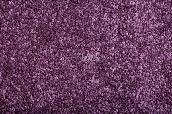 Ковролин Condor Monte Bianco 15 фото 1 | FLOORDEALER